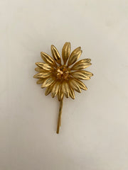 Bobby le tournesol